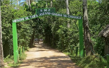 jozani forest tour zanzibar (2)